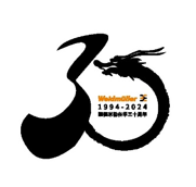 商务咨询 企业成功的关键驱动力